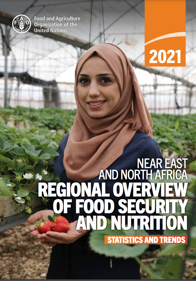 Near East and North Africa – Regional Overview of Food Security and Nutrition 2021