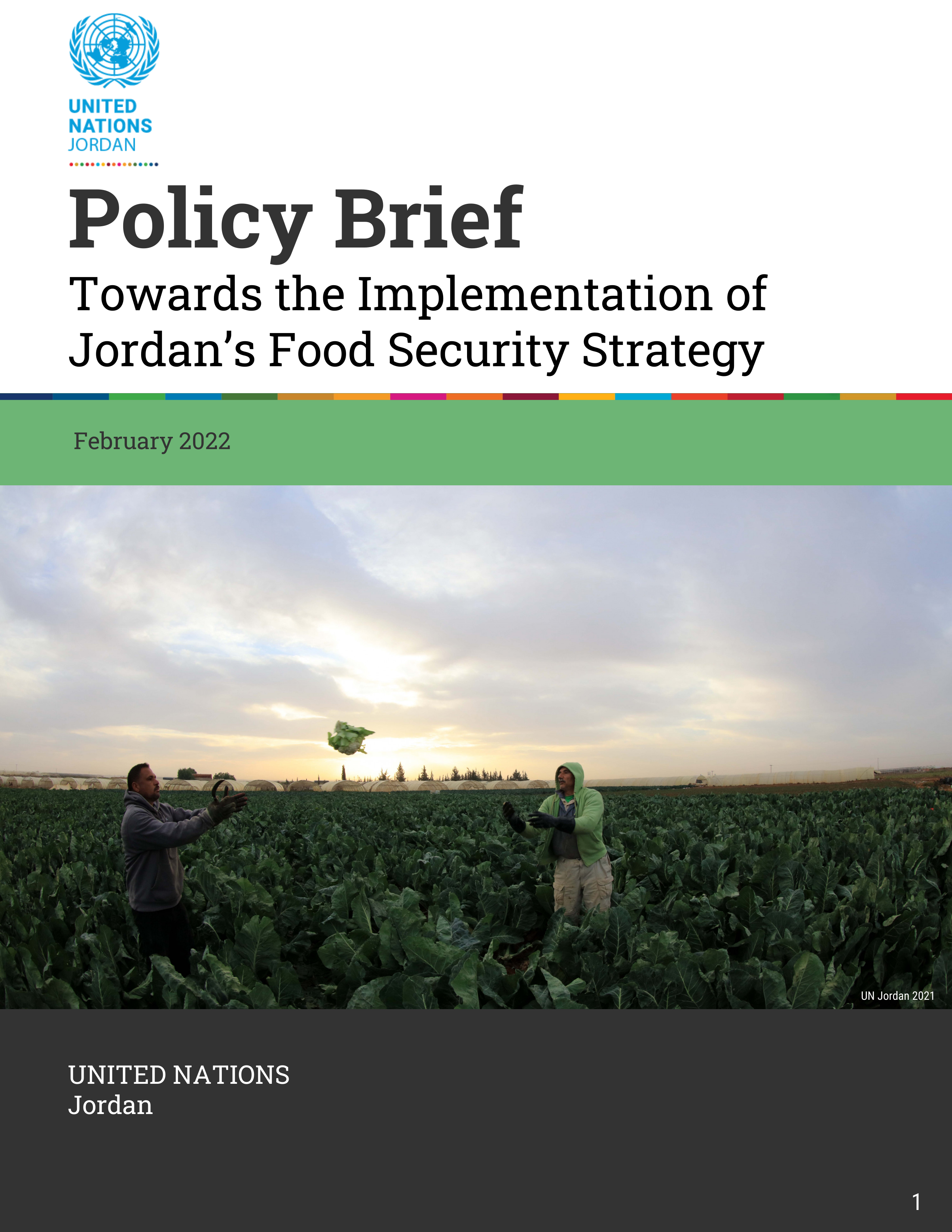 Policy Brief: Towards the Implementation of Jordan’s Food Security Strategy
